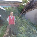 롯데이용소 이미지