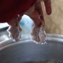 옹심이네 이미지