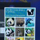 OOPSY PC방 네이버블로그