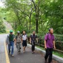 송정남 | 영산회 10번째 모임(남산 둘레길)