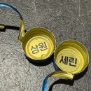 구산백조아파트(1131) | 김해 구산동 소주 맥주 1,500원하는 갈비 맛집 [표길순삼대갈비 구산점] 내돈내산 솔직후기
