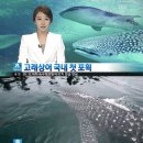 바다와고래 이미지