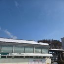 봉산암반수송어회 | 강원도 원주 맛집 - 송어 회 맛집 / 원주 황둔수산
