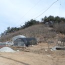 대산면912 이미지