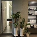 엑시토 골프 이미지