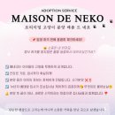 메종드센텀 이미지