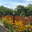 스테이반시 이미지