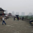 글로벌 세계사 이미지