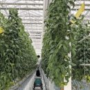 유한드림주식회사 이미지