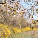 검바위약수터 이미지