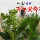 제1회 김천 자두꽃 축제 (2011.04.09 ~ 2011.04.11) 이미지