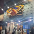 대게나라 발산점 | [대게나라 발산점] 마곡 연말 송년회하기 좋은 장소 대게나라 발산점에서 연말 회식한 후기!