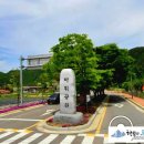 세븐일레븐 평창바위공원점 이미지