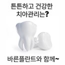 이층플란트치과의원 이미지