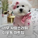 탑독 | 디포독 디자인포도그 2025 Heart Top 하트탑 강아지 봄옷 벚꽃축제 룩 완성!