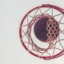 프로체육관 이미지