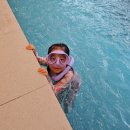 스위밍키즈 태평점 이미지