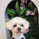 그루밍140 이미지