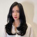 헤어무늬 네이버블로그