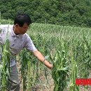 논미2리 이미지