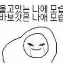 고고타이어 - 순천시 감사터3길 11 | 고고타이어