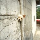 새로운세상 이미지