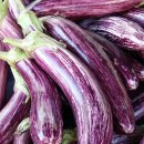 나가지농장 이미지