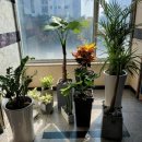 스마일팩토리치과교정과치과의원 이미지