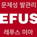 레푸스미아 이미지