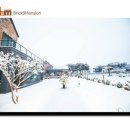 브릭나인맨션 이미지