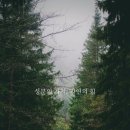미엘르스킨케어 - 제주시 구산서길 65 | 미엘르스킨케어
