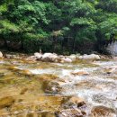 닷돈재주차장화장실 이미지