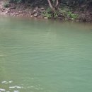 대바우가든 민박 이미지