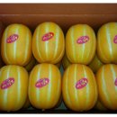 일조농장 이미지