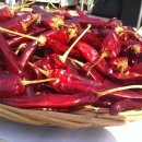 준홍농장 이미지