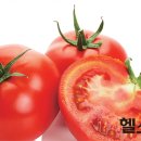 토마토 - 은평구 불광천길 322 | 토마토