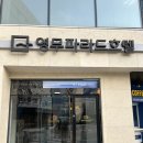 1398 | 몽아띠ㅣ해운대 강아지 미용ㅣ첫 방문에 완전 만족한 후기ㅣ서이추환영