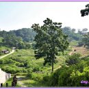 보은 삼년산성 이미지