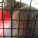 늘푸른종합동물병원 이미지