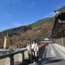 2024. 11. 30.~12. 1. 구례남원(1일차, 화엄사)