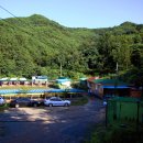 성주허스키켄넬 이미지