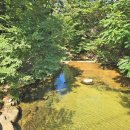 남지계곡 입구 이미지