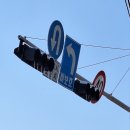 로로 동물병원 | 누구세요?