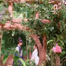 구름이 그린 달빛 이미지