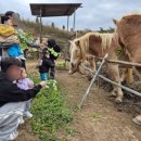 또래 어린이집 이미지