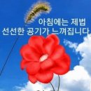 (주)인폰 이미지