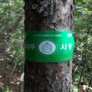 송림임업 - 제천시 | 송림임업