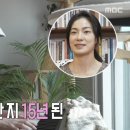 초록빛하루 이미지