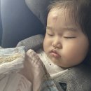 써버쿨 키드크림 후기｜모기 물렸을 때 바르기 좋은 유아연고 추천