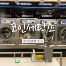 화이트세탁소 | 강동역 근처 24시간 코인세탁소 화이트365 요금 이용 후기